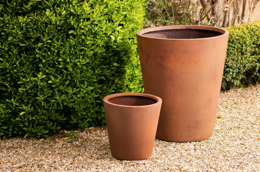 Cone Rust Planter