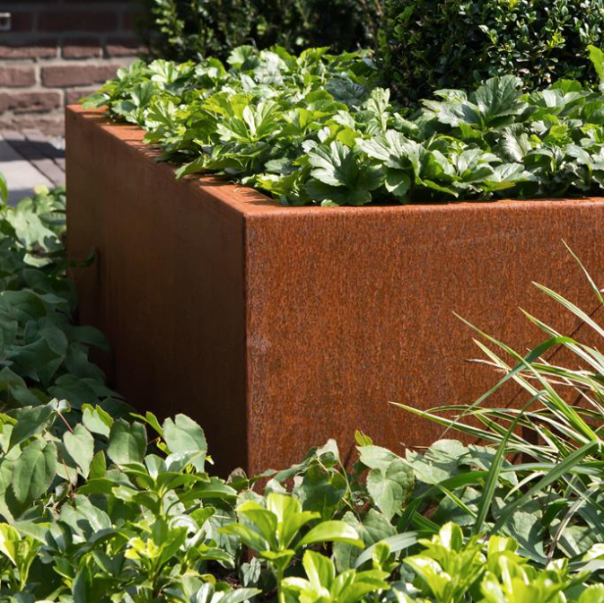 Rust Square Planter Without Base
