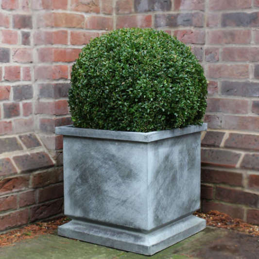 Verona Planter