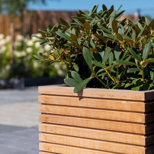 Hardwood Planter